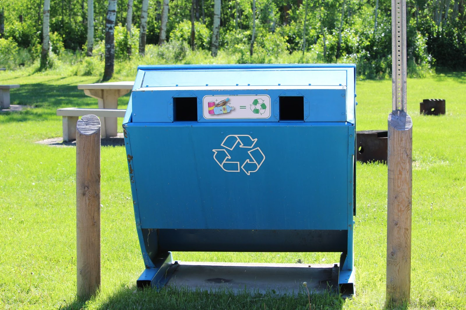 A light blue single-stream recycling dumpster in a grassy public park.